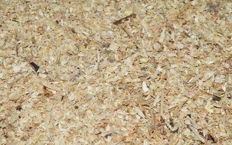 what-does-psyllium-husk-do