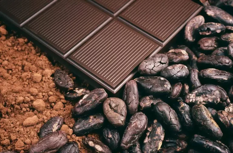The-Sweet-Solution-How-Melted-Dark-Chocolate-Boosts-Blood-Health