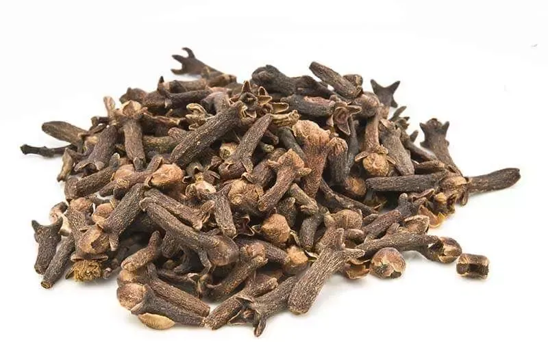oil-of-cloves