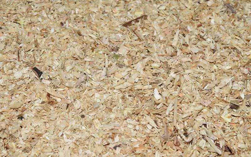 what-does-psyllium-husk-do