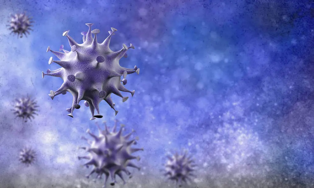 covid virus