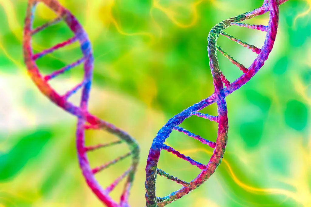 DNA